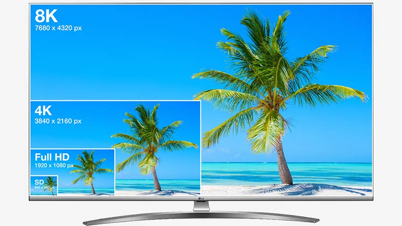 images de plage avec palmier de differentes qualités